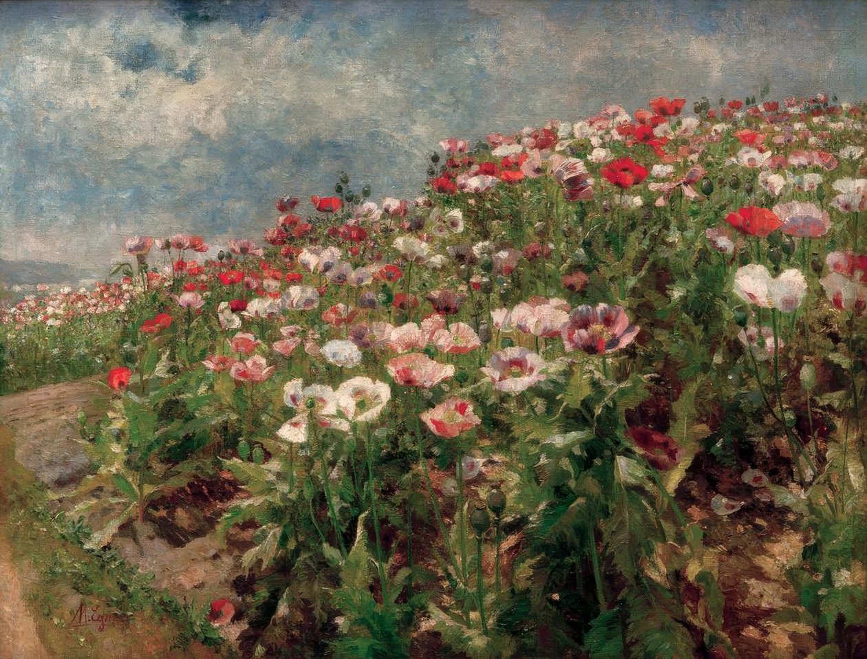 Amapolas en flor, motivo de St. Georgen cerca de Melk de Marie Egner