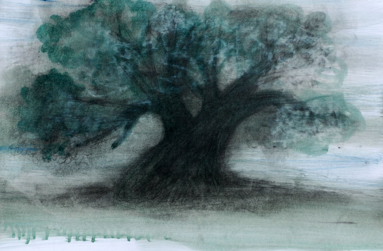 Olivo, 2023 (óleo y carboncillo sobre papel) de Marina Falco