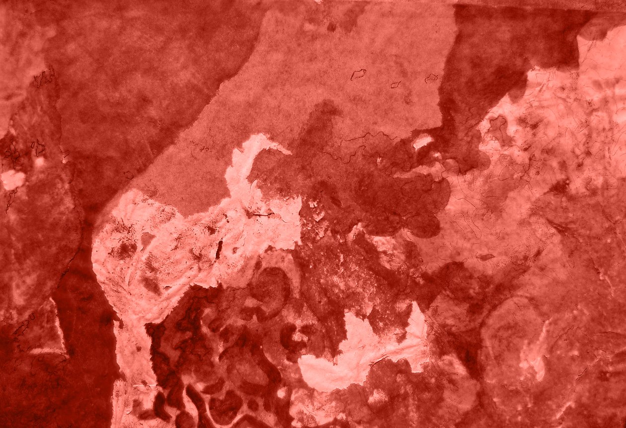 Patrón 16 (archivo digital) de Marina Falco