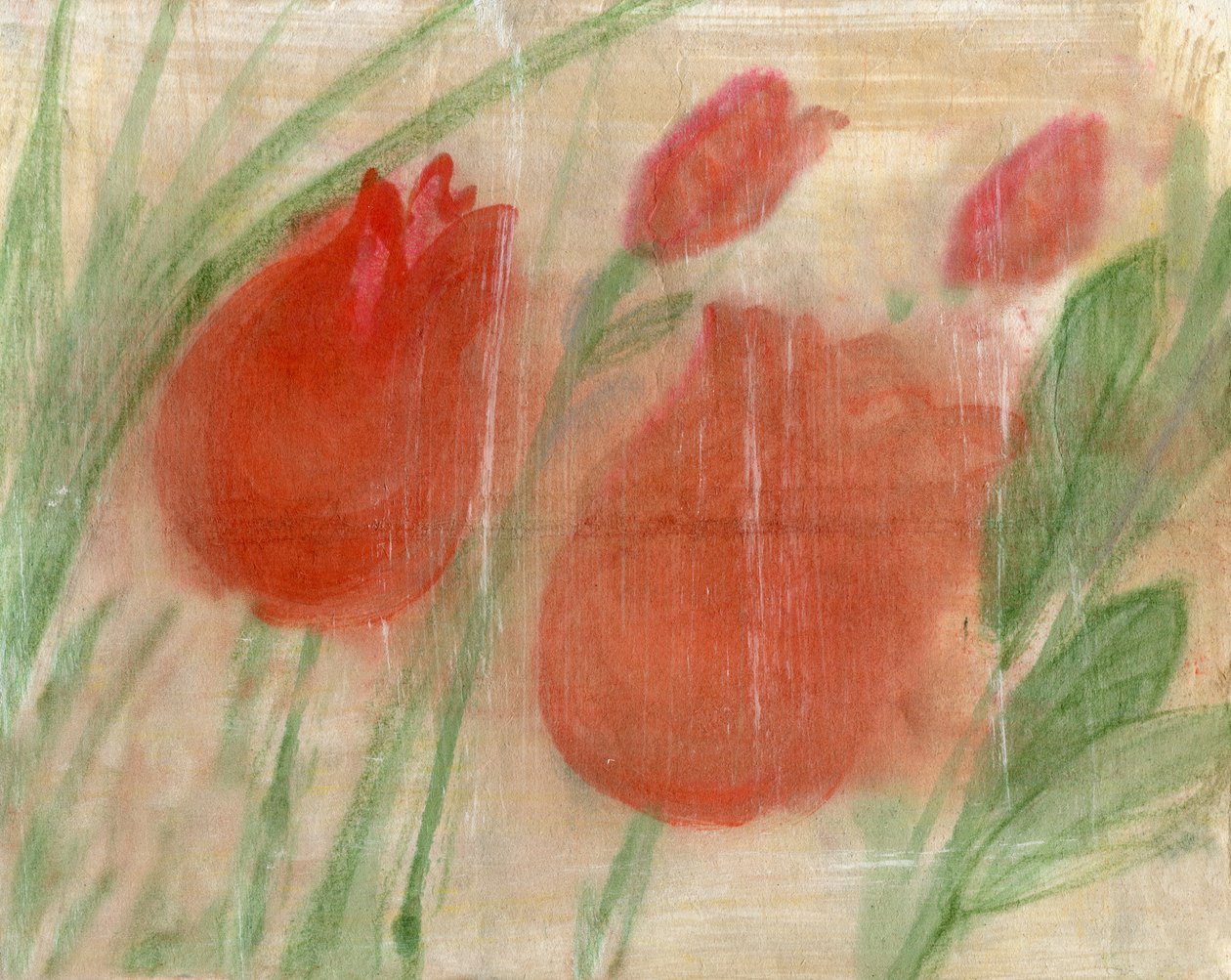 Tulipanes rojos de Marina Falco