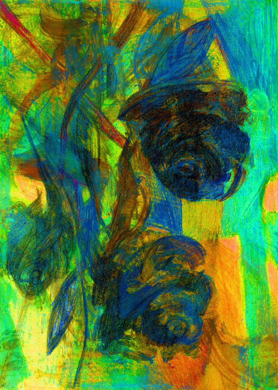 Rosas, 2023 (imagen digital) de Marina Falco