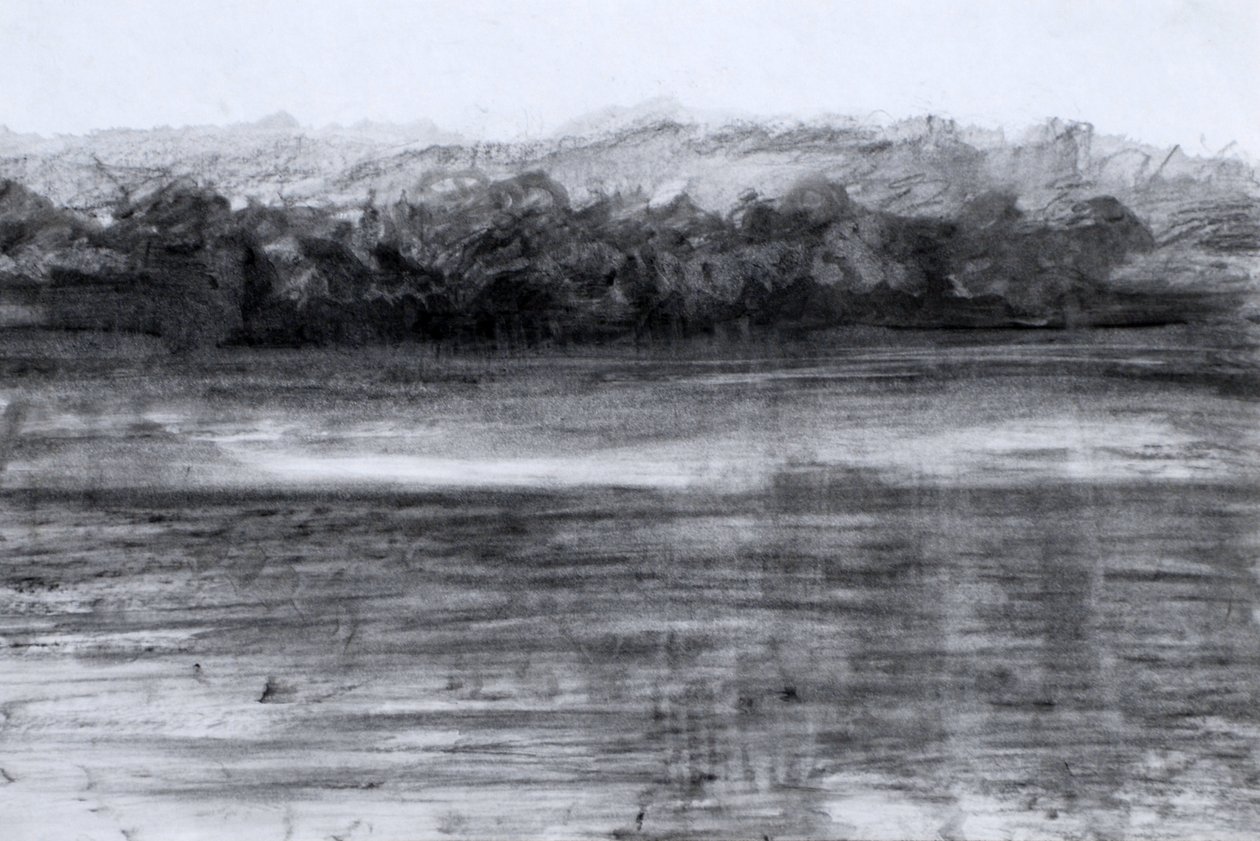 El lago, 2023 (óleo y carboncillo sobre papel) de Marina Falco