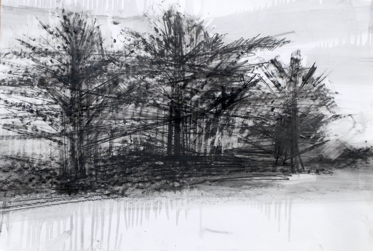 Árboles, 2023 (óleo y carboncillo sobre papel) de Marina Falco
