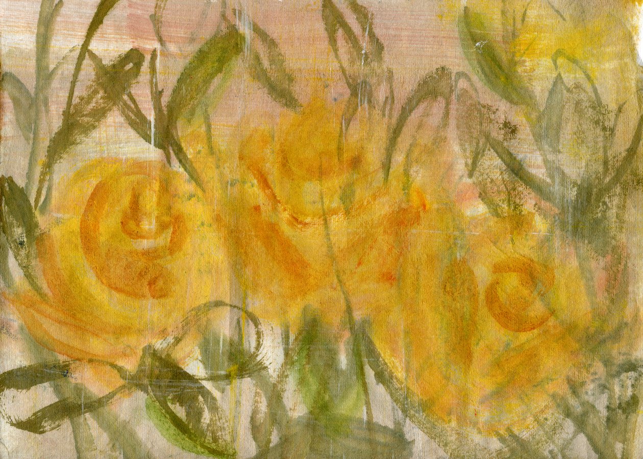 Rosas amarillas de Marina Falco