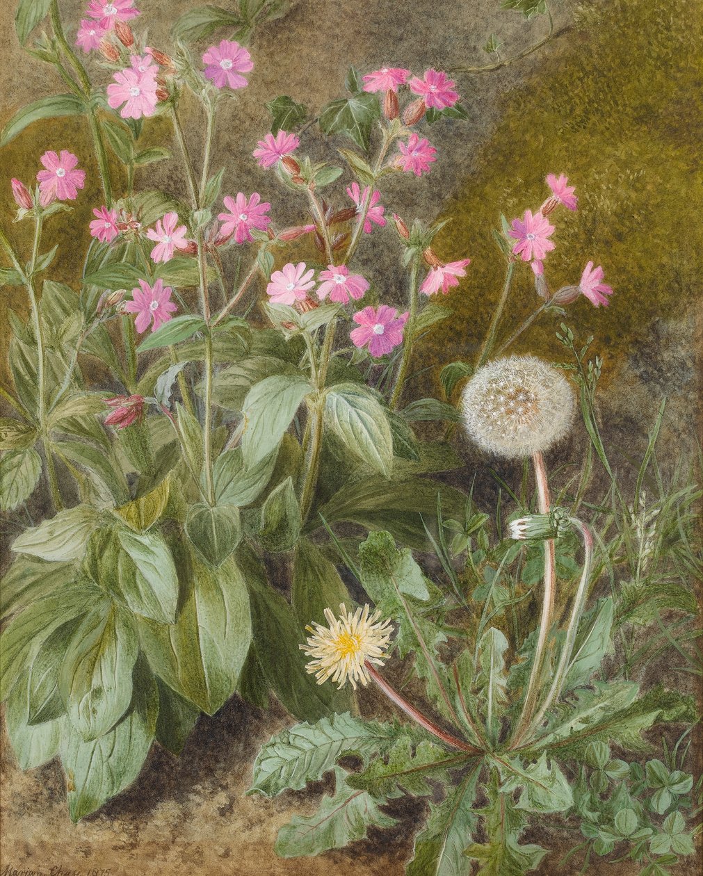 Flores de campo y diente de león, 1875 de Marion Chase