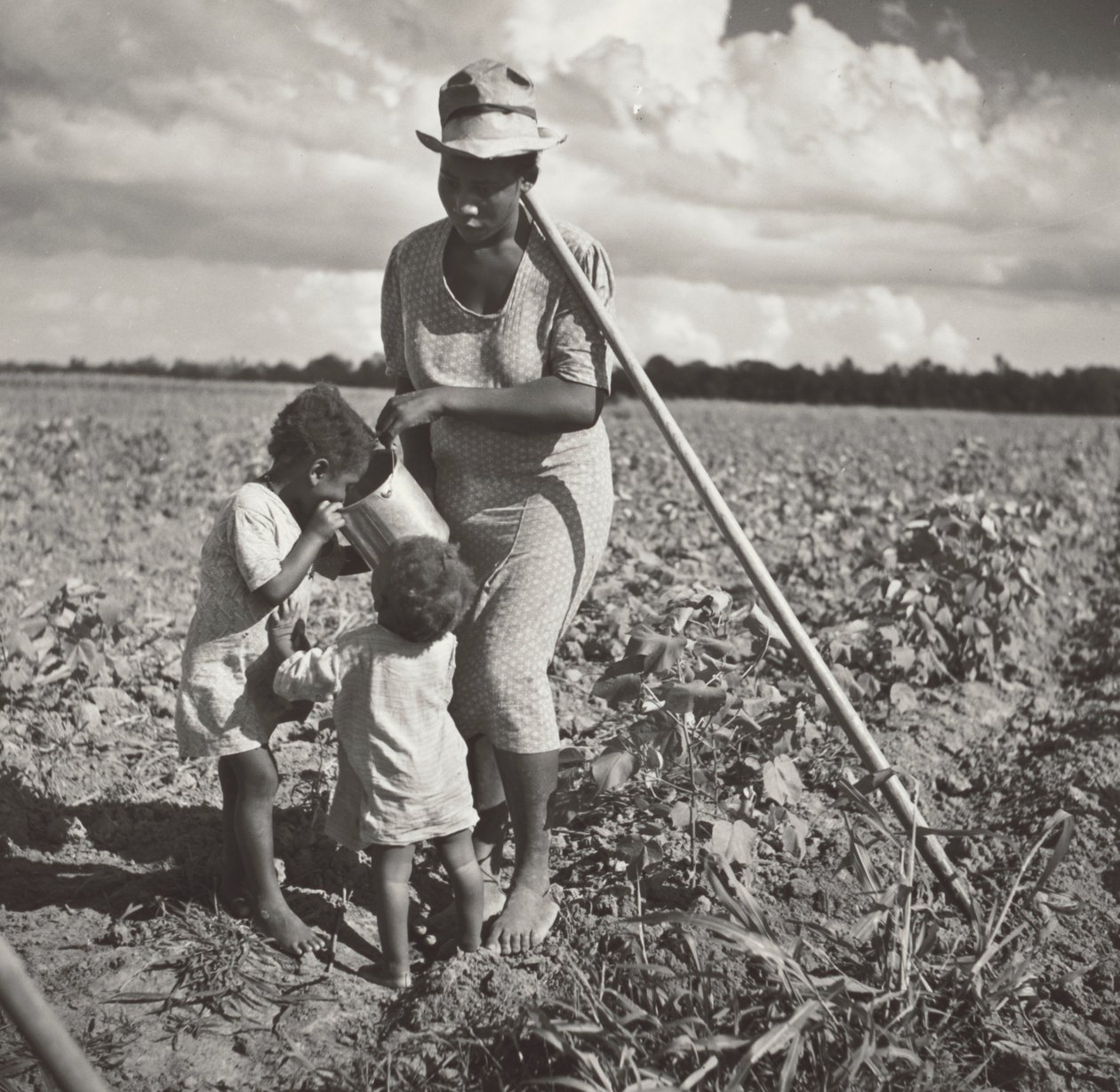 Mujer negra dando de beber a sus hijos en el campo donde está aporcando algodón en un proyecto cooperativo del FSA (Plantación Allen). de Marion Post Wolcott