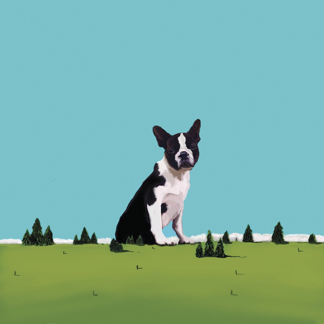 Boston Terrier, 2008 de Marjorie Weiss