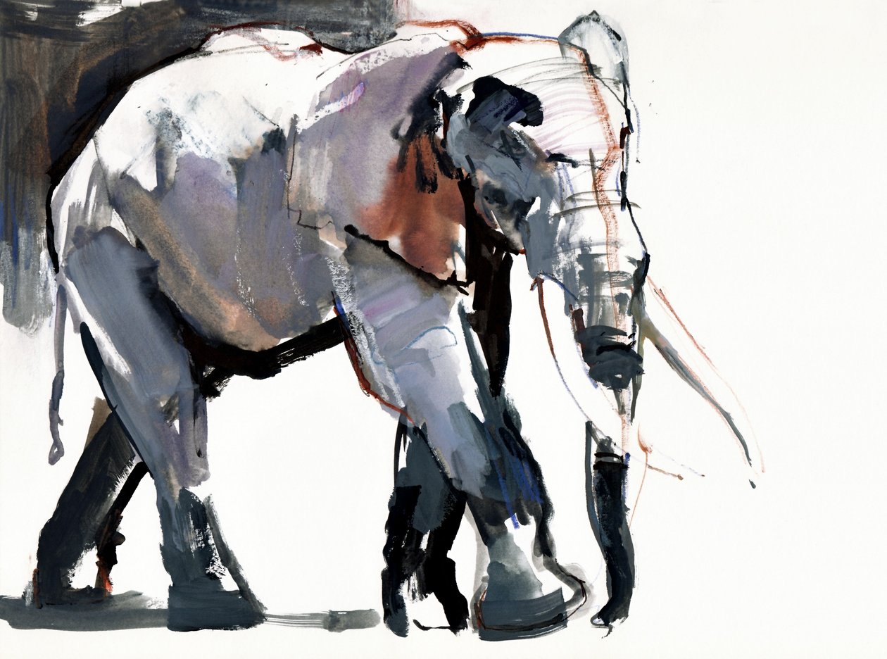 Elefante africano, 2012 de Mark Adlington