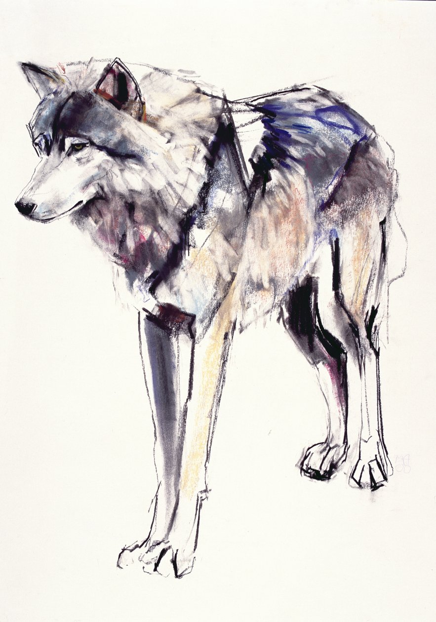 Alpha de Mark Adlington