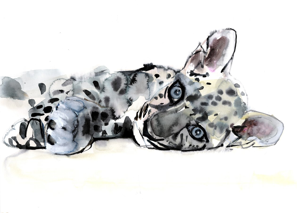 Cachorro de leopardo árabe, 2008 de Mark Adlington