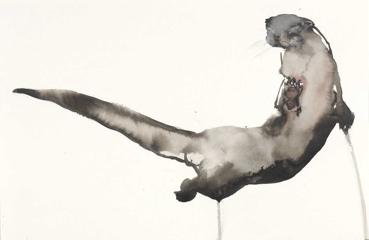De vuelta a la orilla (Nutria) de Mark Adlington