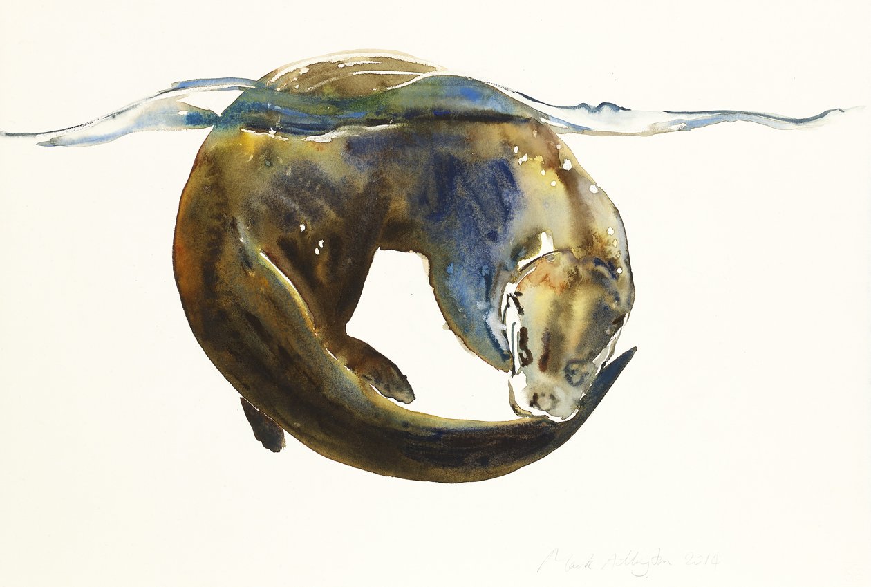 Círculo de vida, 2014 de Mark Adlington