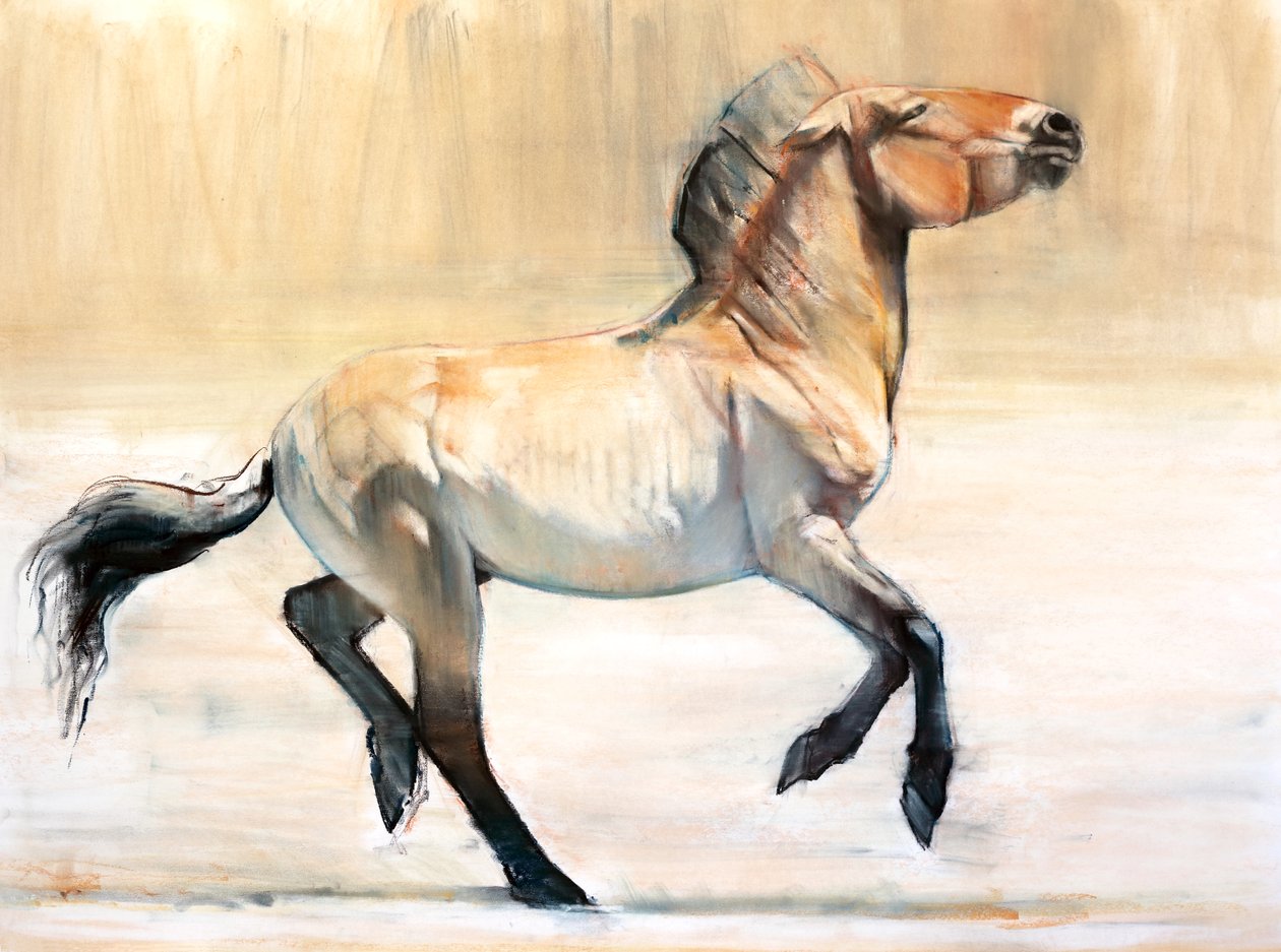 Equus (Przewalski) de Mark Adlington