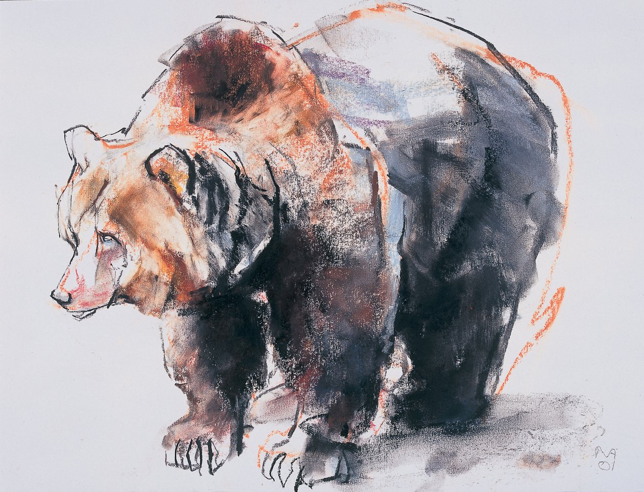 Oso pardo europeo, 2001 de Mark Adlington