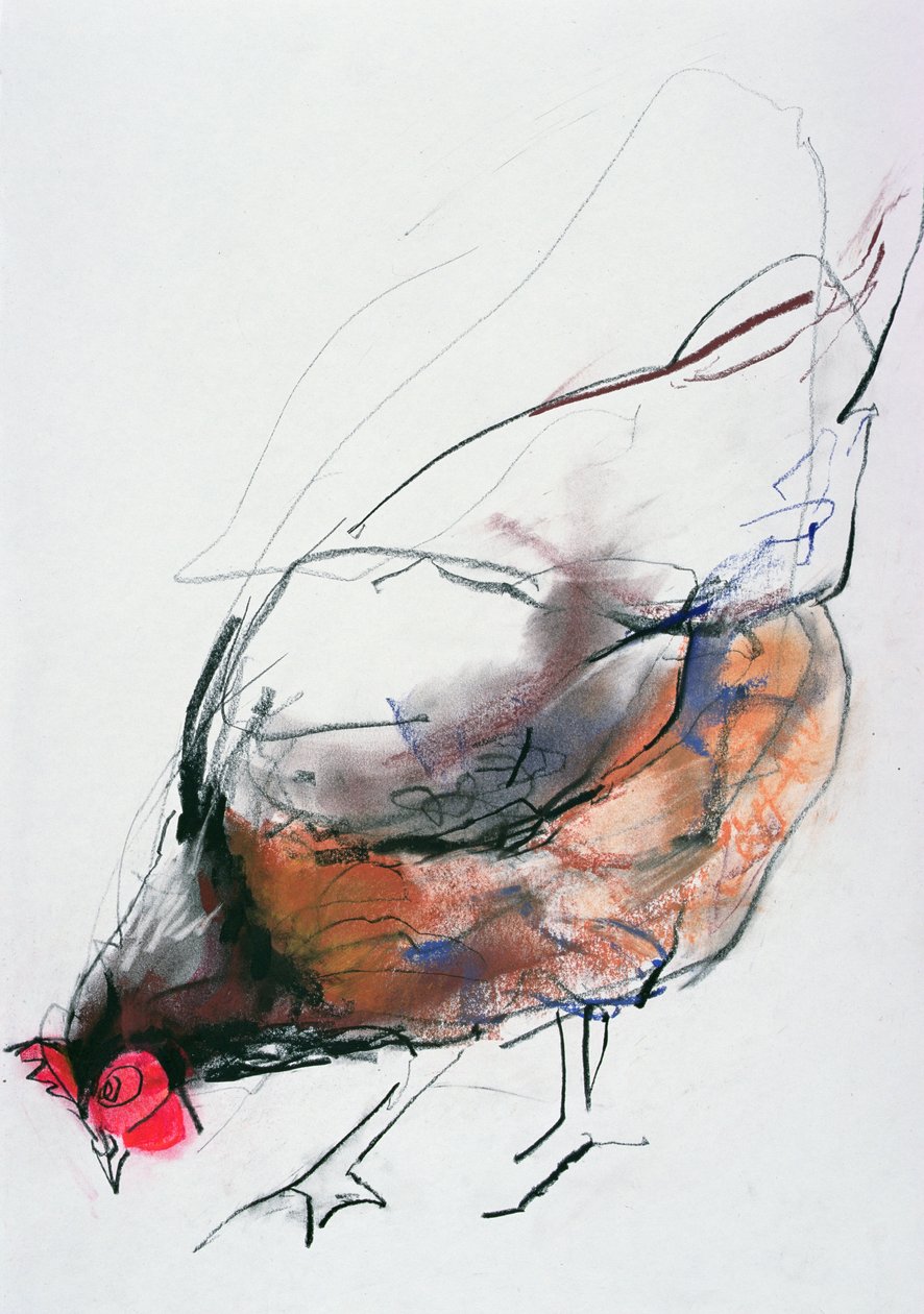Gallina alimentándose, Trasierra, 1998 de Mark Adlington