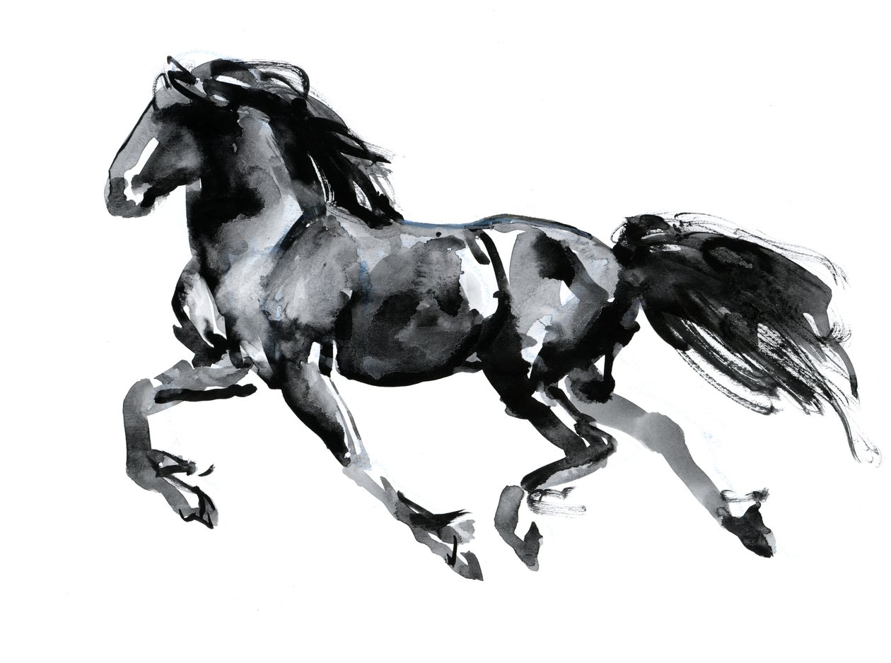 Frisón volador, 2015 de Mark Adlington