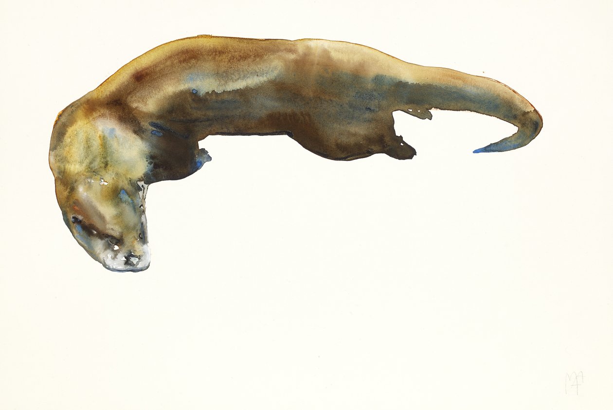 Oro, acuarela sobre papel (2014) de Mark Adlington