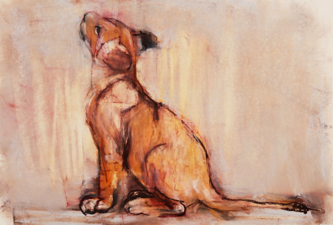 Cachorro de oro, 2020 de Mark Adlington