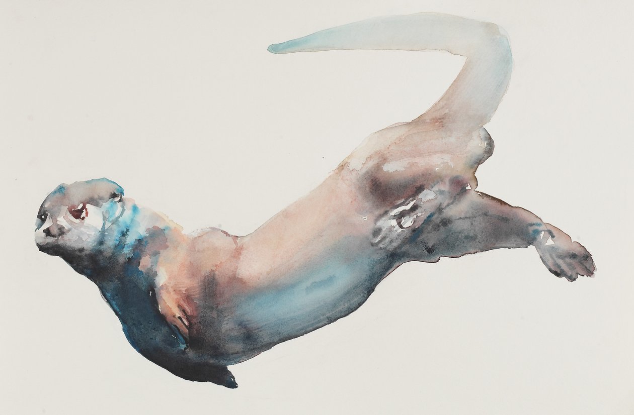 Caza en las profundidades de Mark Adlington
