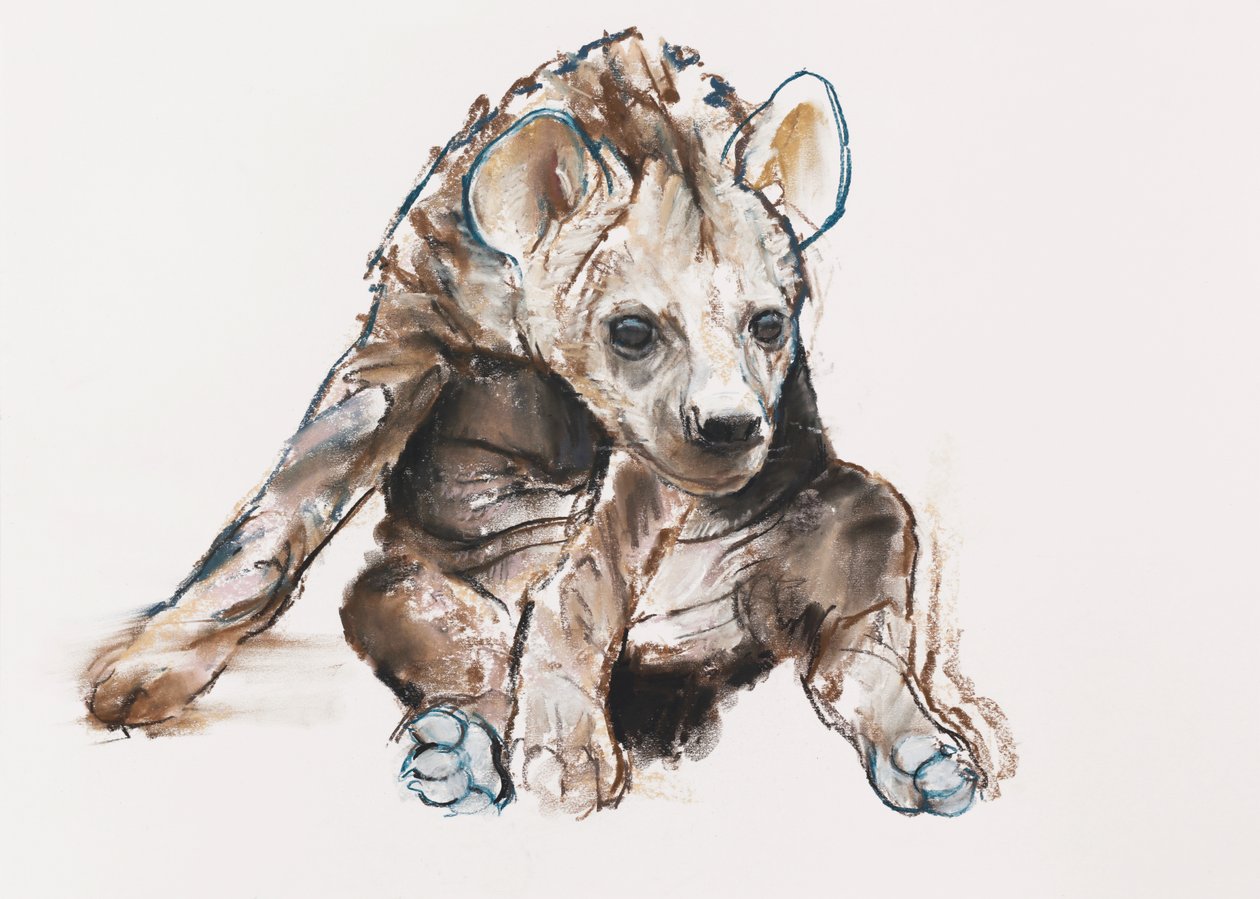 Cachorro de hiena (cabeza baja) de Mark Adlington