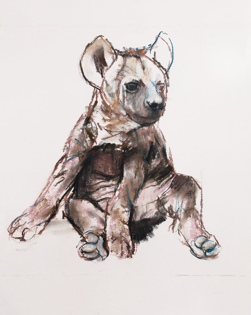 Cachorro de hiena (sentado) de Mark Adlington