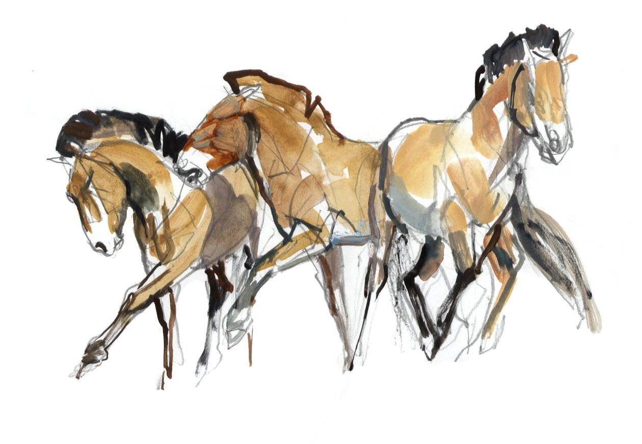 Mistral Tres (Przewalski) de Mark Adlington