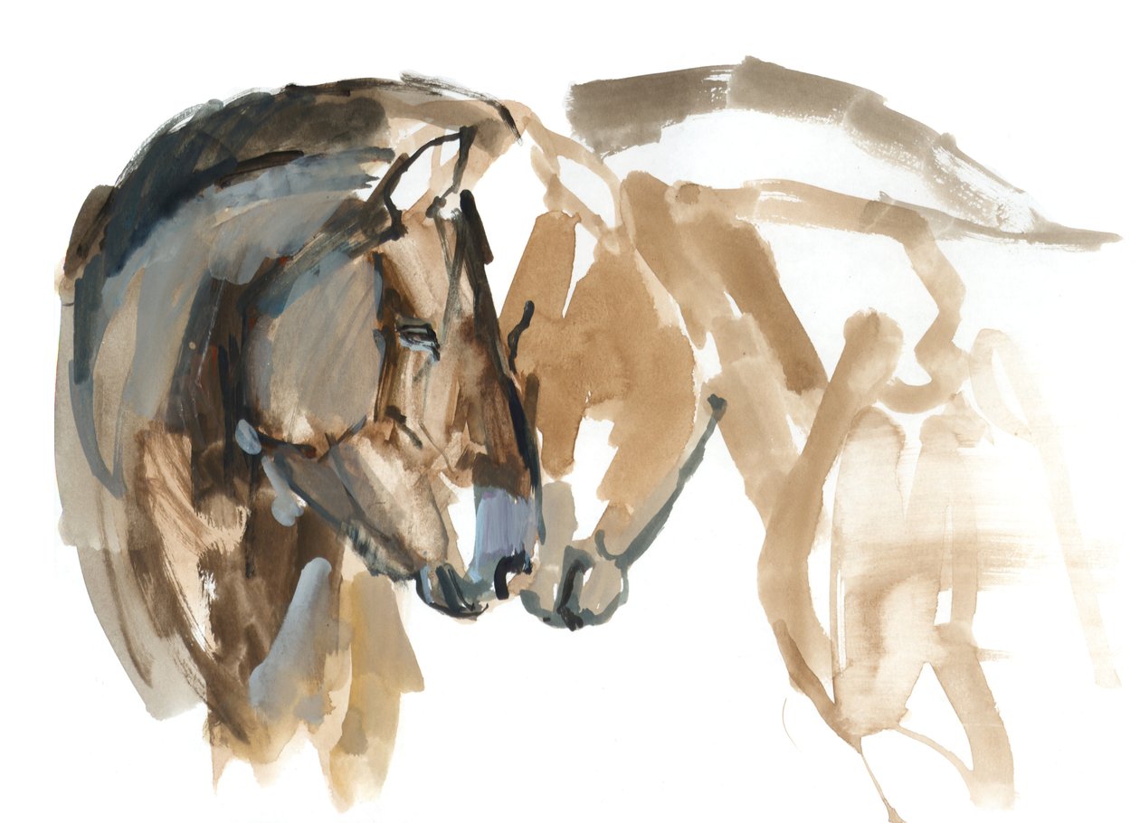 Nariz con nariz (Przewalski), 2013 de Mark Adlington
