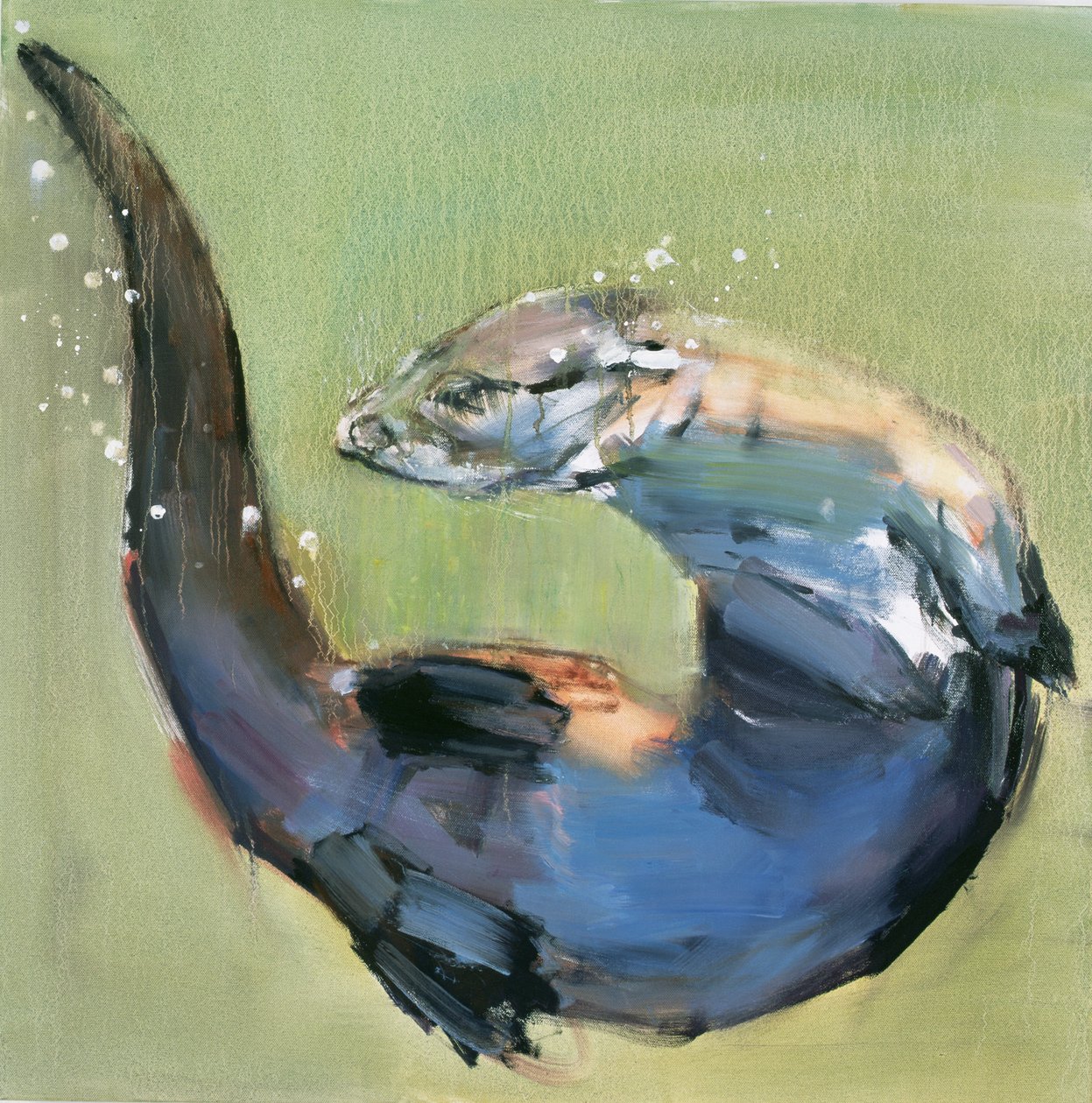 Nutria, 2003 de Mark Adlington