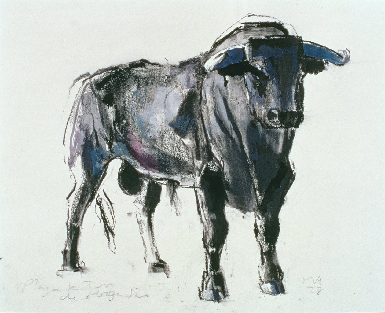 Plaza de Toros de Miajadas, 1998 de Mark Adlington