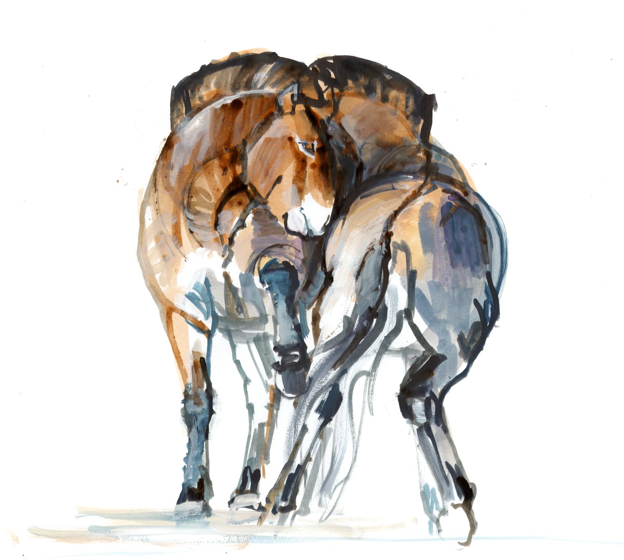 Danza de poder (Przewalski), 2013 de Mark Adlington