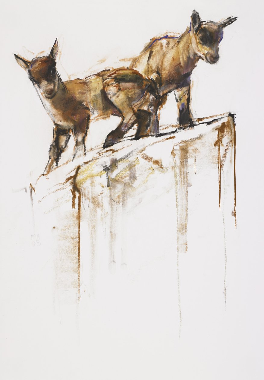 Juego de rocas, 2005 de Mark Adlington