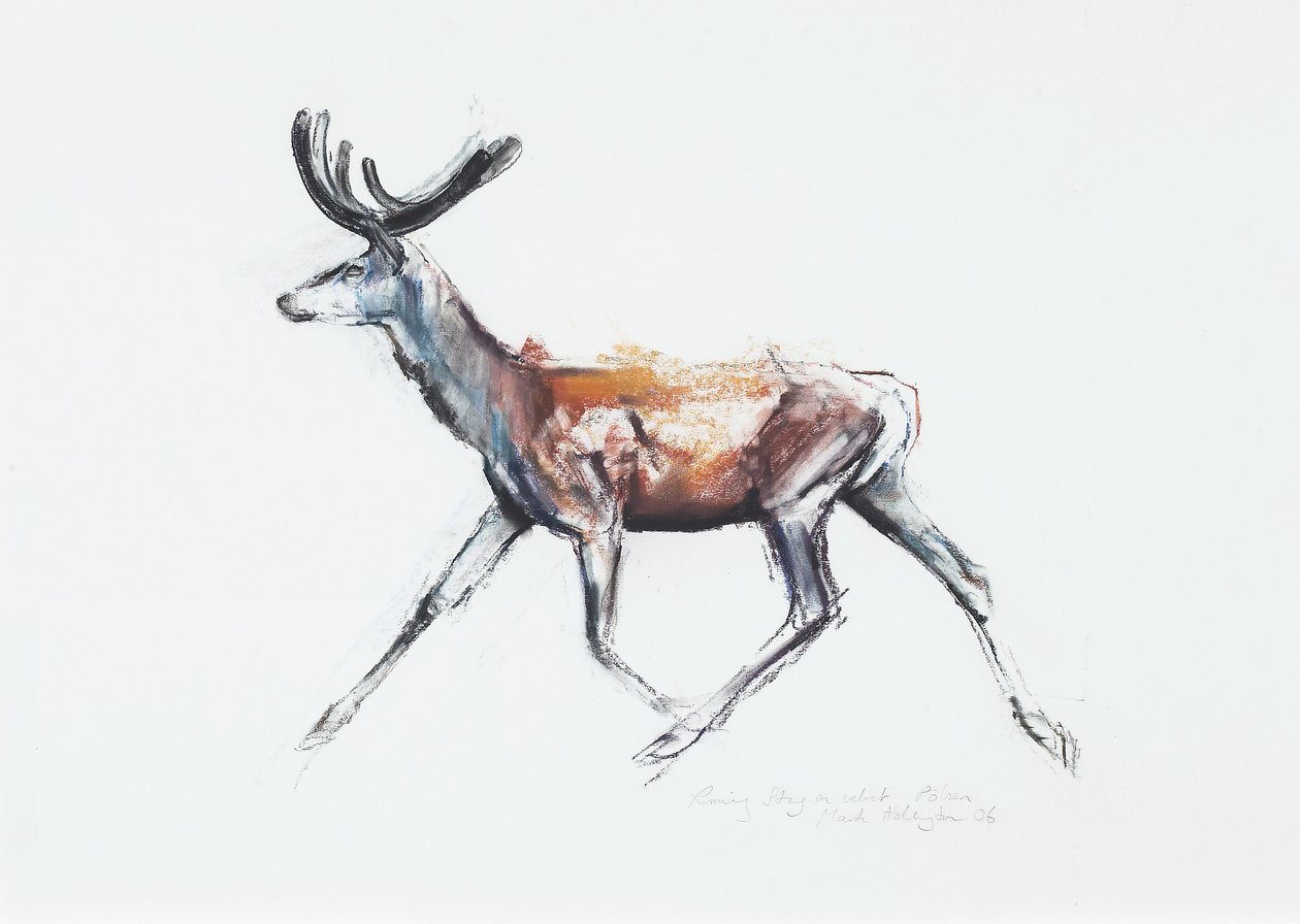 Ciervo corriendo en terciopelo, Polsen, 2006 de Mark Adlington