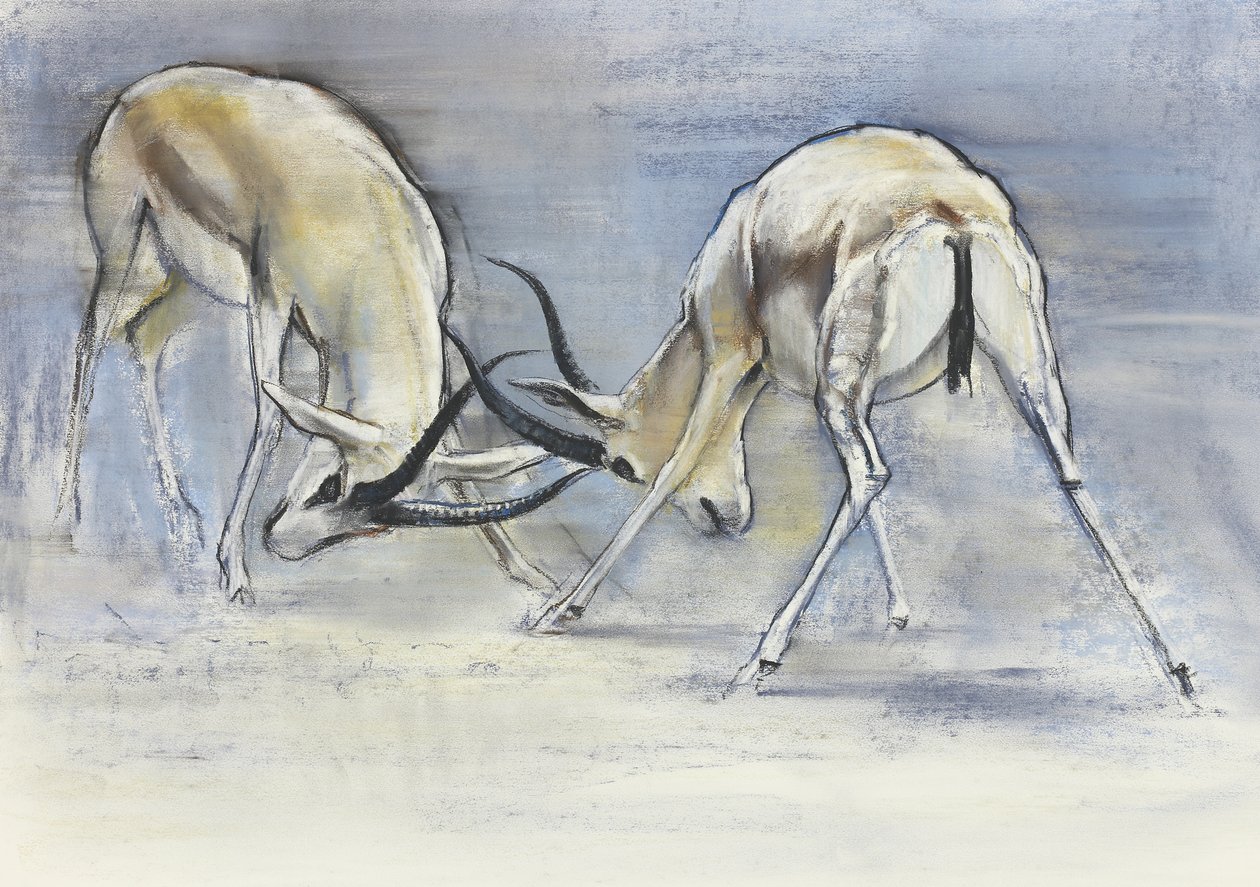 Gacelas de arena, 2009 de Mark Adlington