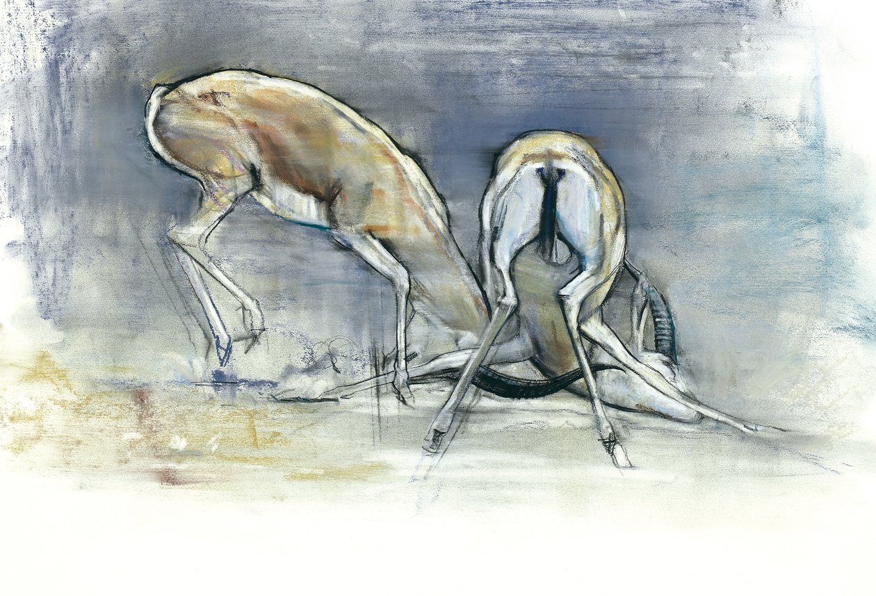 Gacelas de arena, 2009 de Mark Adlington