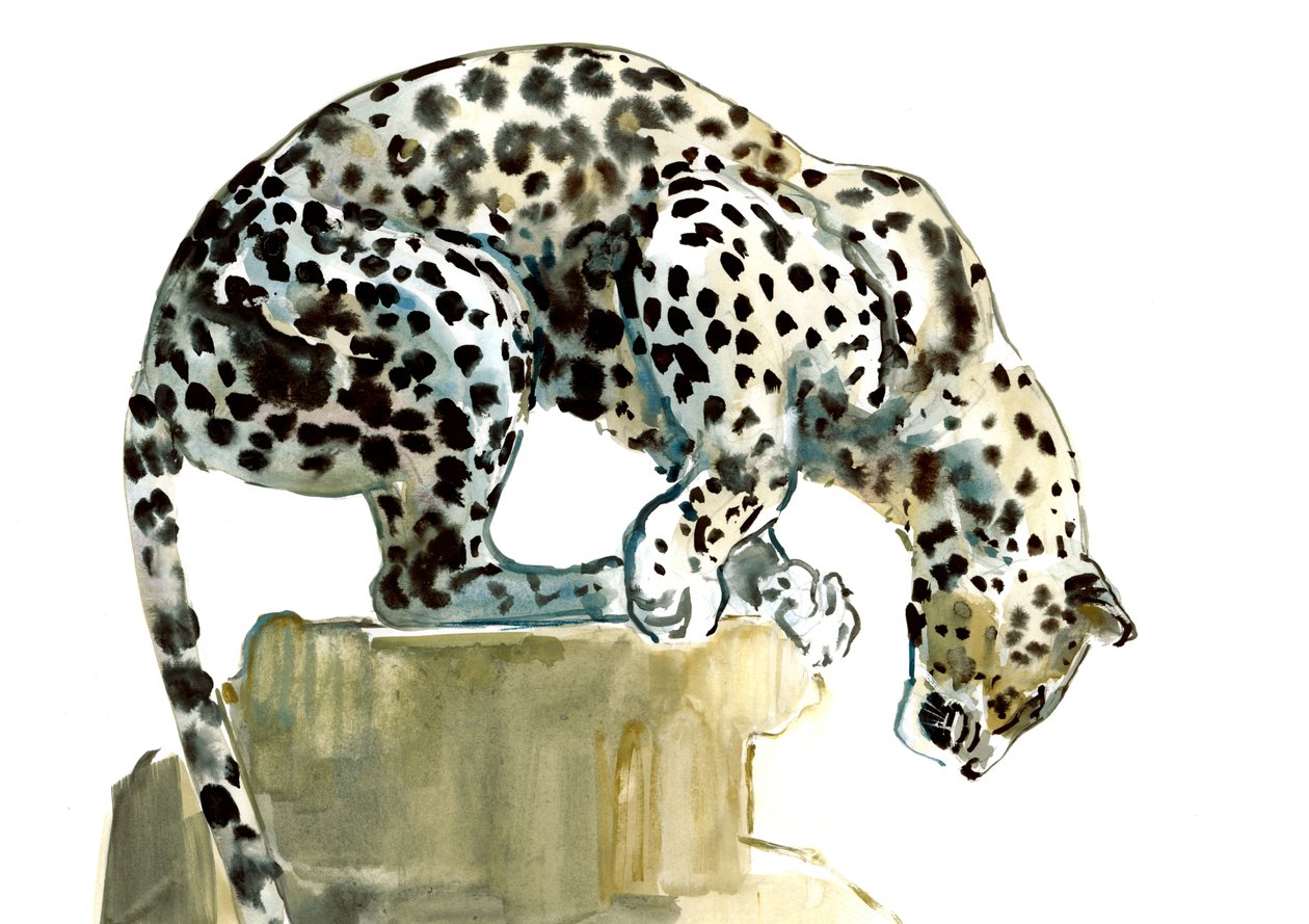 Columna (Leopardo Árabe), 2015 de Mark Adlington