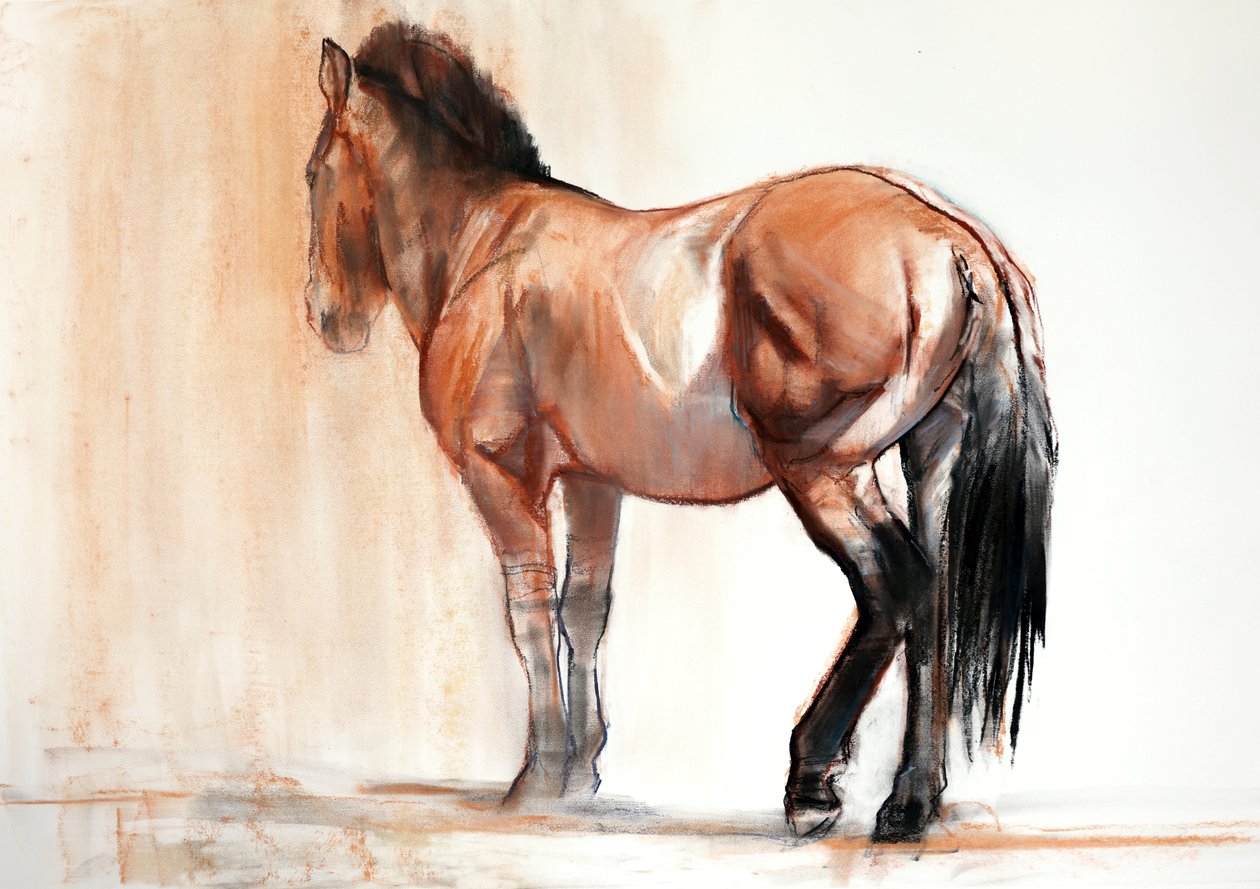 Stand (Przewalski), 2013 de Mark Adlington