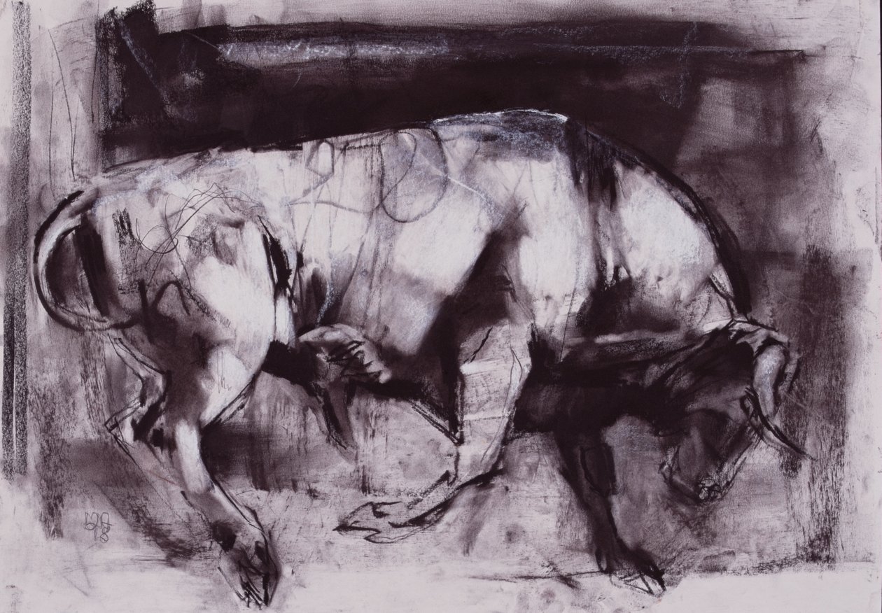 El toro blanco (estudio), 1998 de Mark Adlington