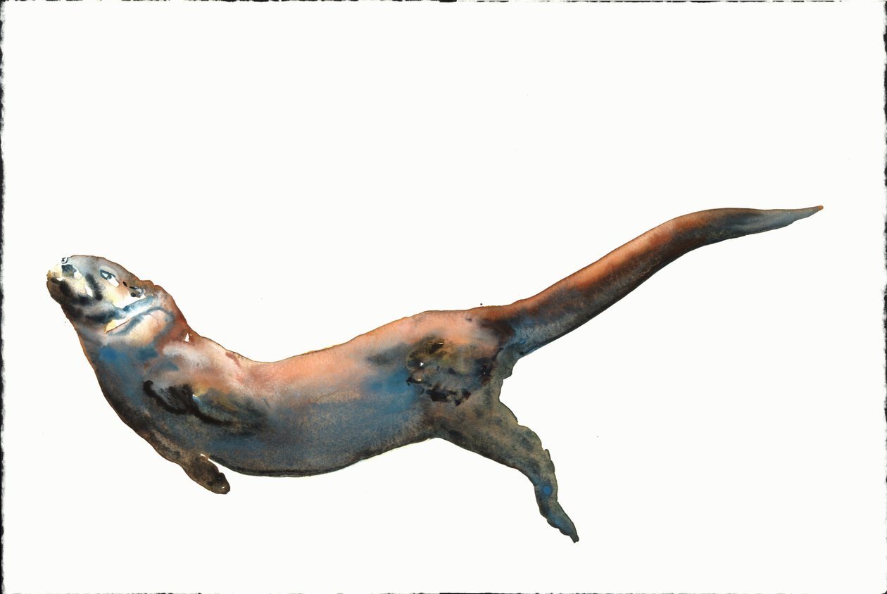 Título desconocido de Mark Adlington
