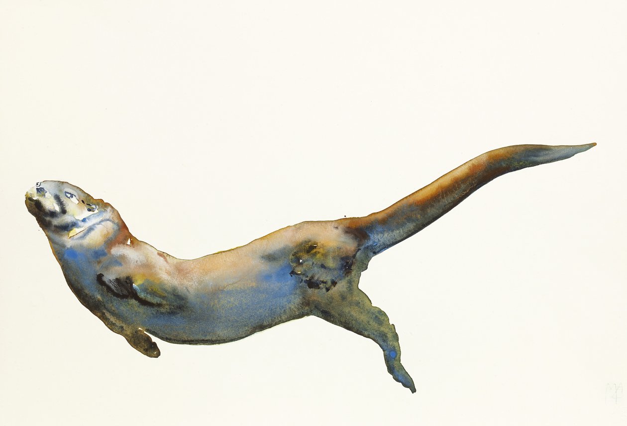 Terciopelo, 2014 de Mark Adlington