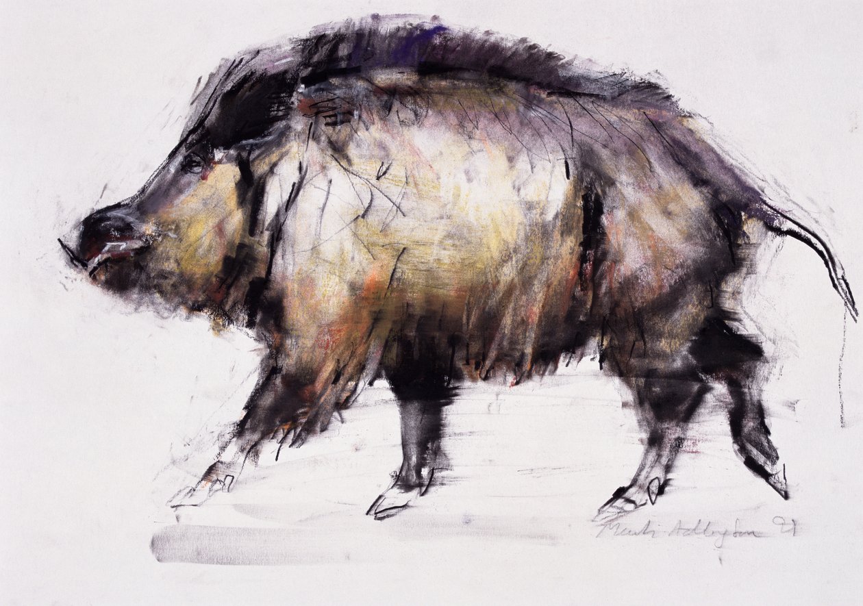 Jabalí, 1999 de Mark Adlington