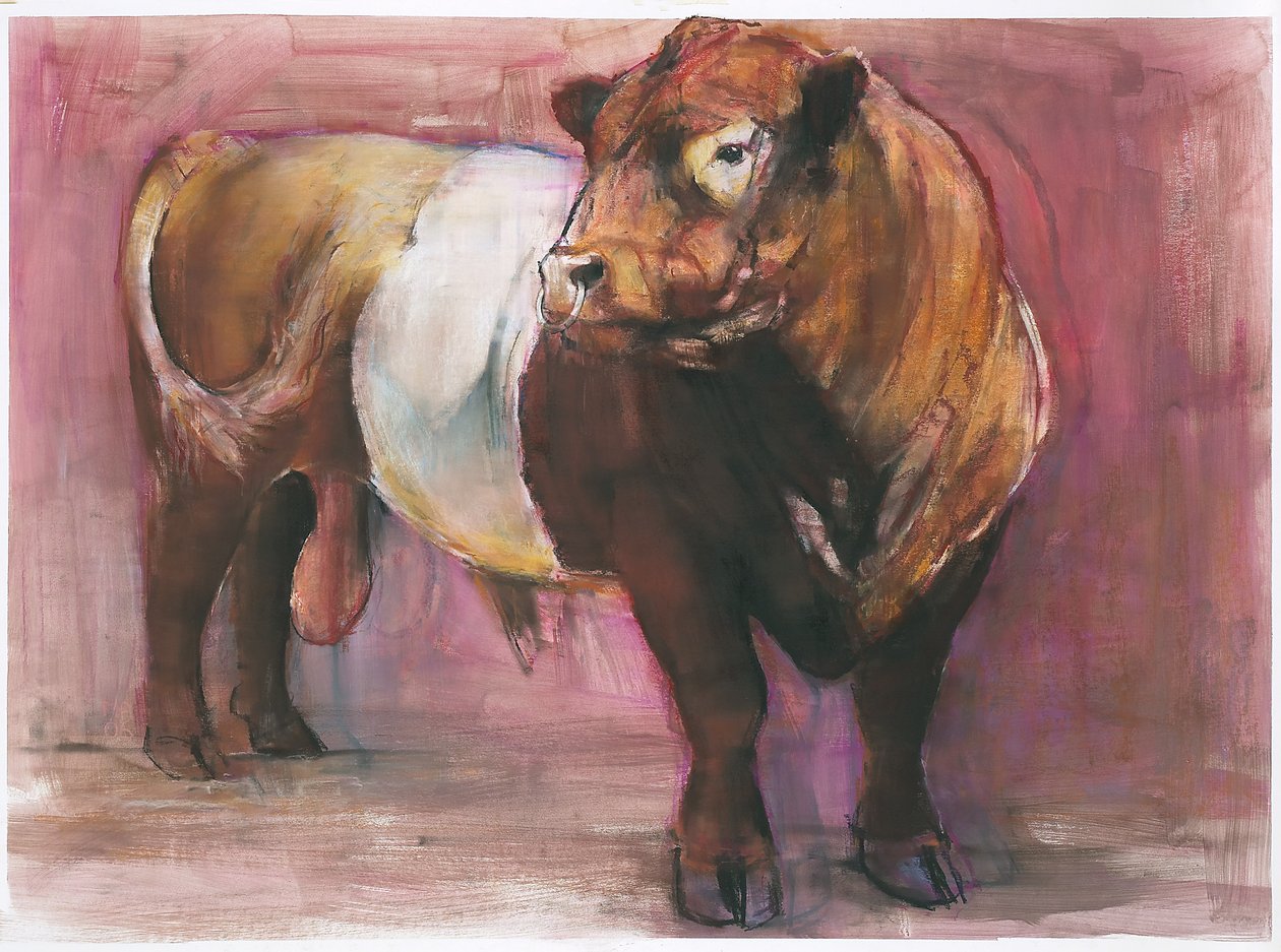 Zeus, toro de Galloway con cinturón rojo, 2006 de Mark Adlington