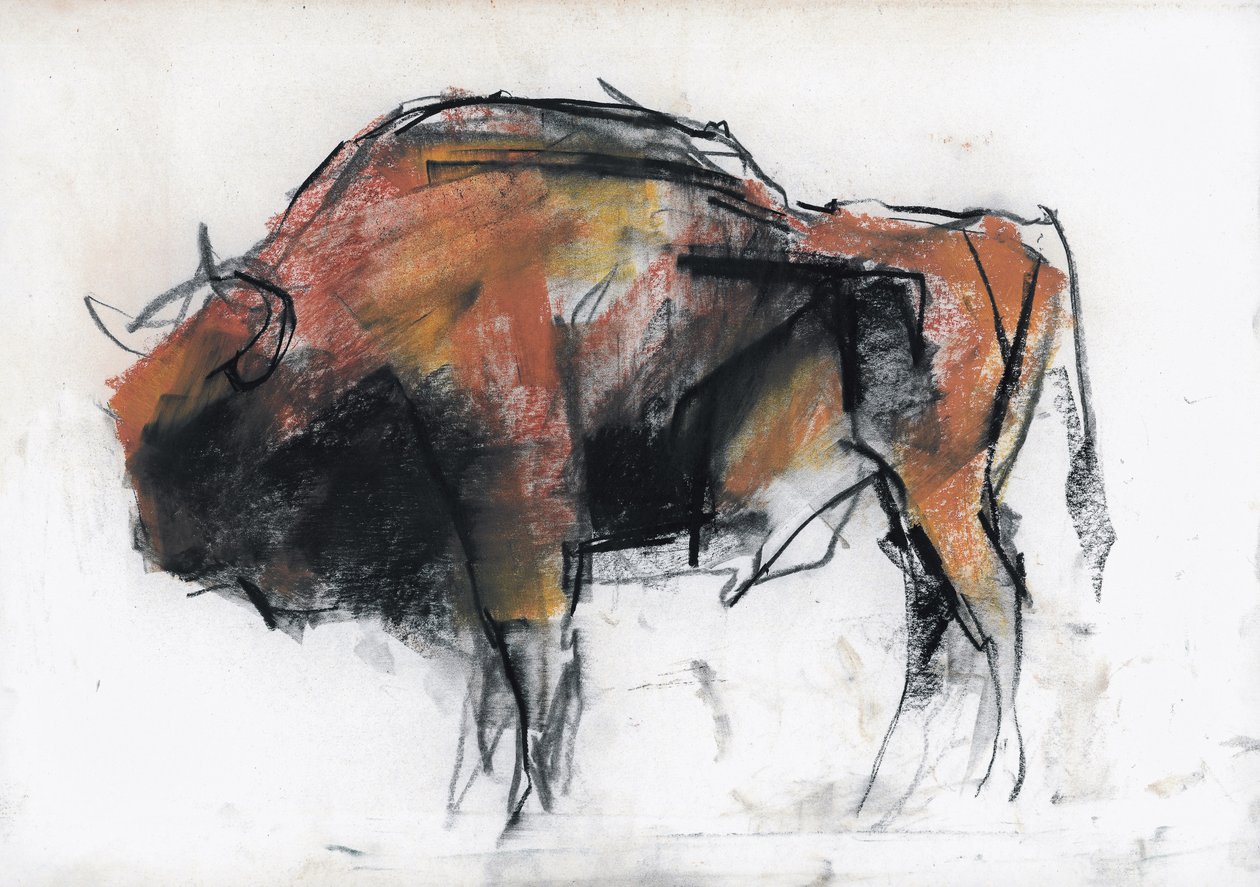 Zubre, Bialowieza de Mark Adlington