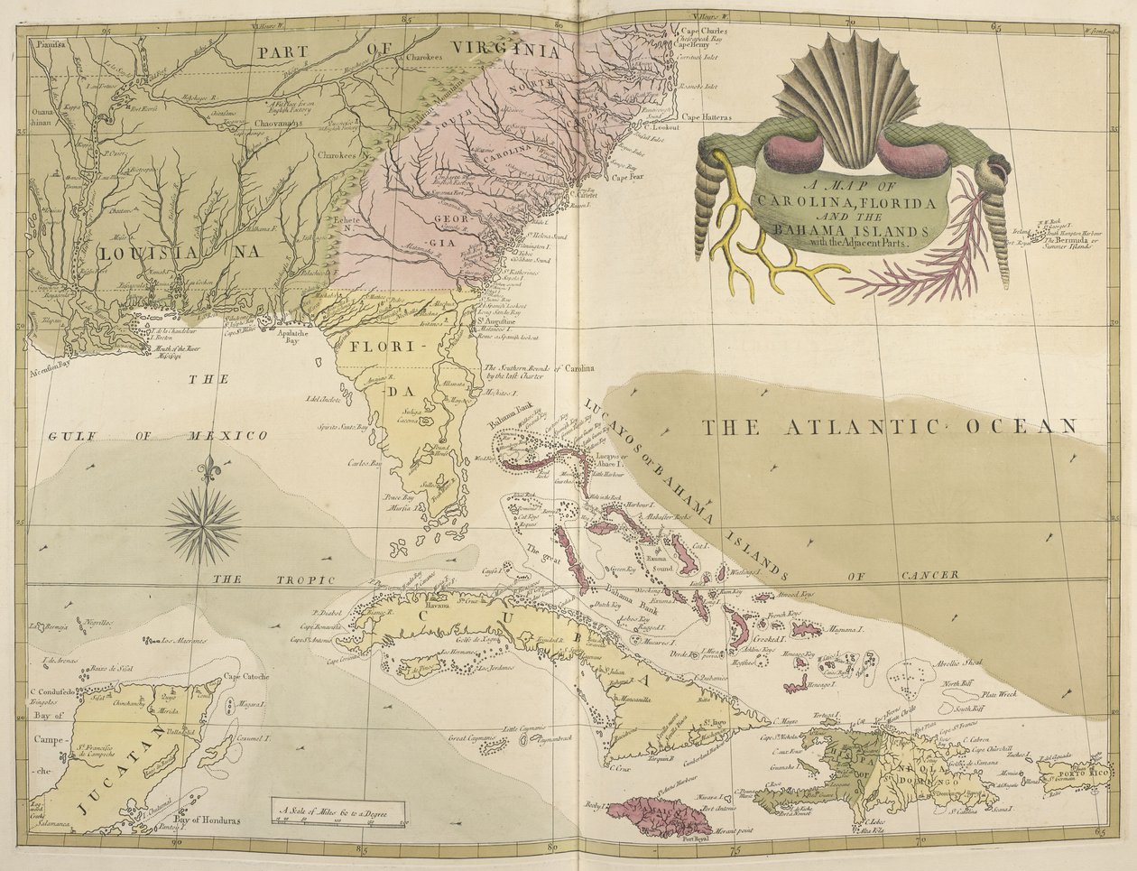 Un mapa de Carolina, Florida y las Islas Bahamas de Mark Catesby