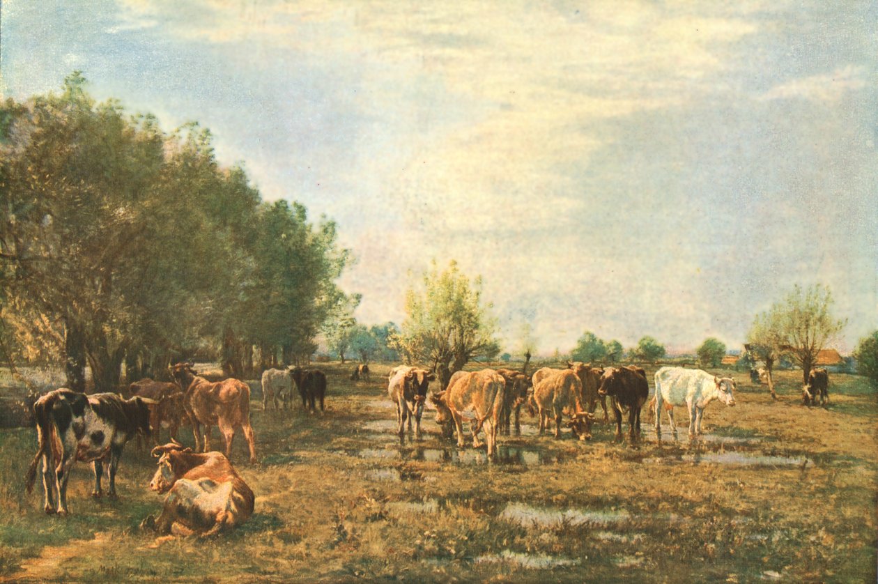 Praderas de Fen con ganado, 1877, c1930 de Mark Fisher