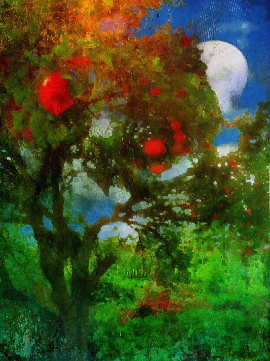 huerto a la luz de la luna de Mark Gordon
