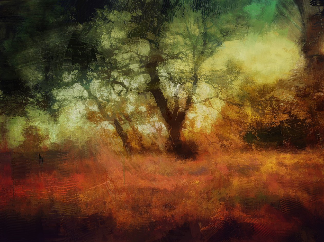 Bosques de la abadía de Calke de Mark Gordon