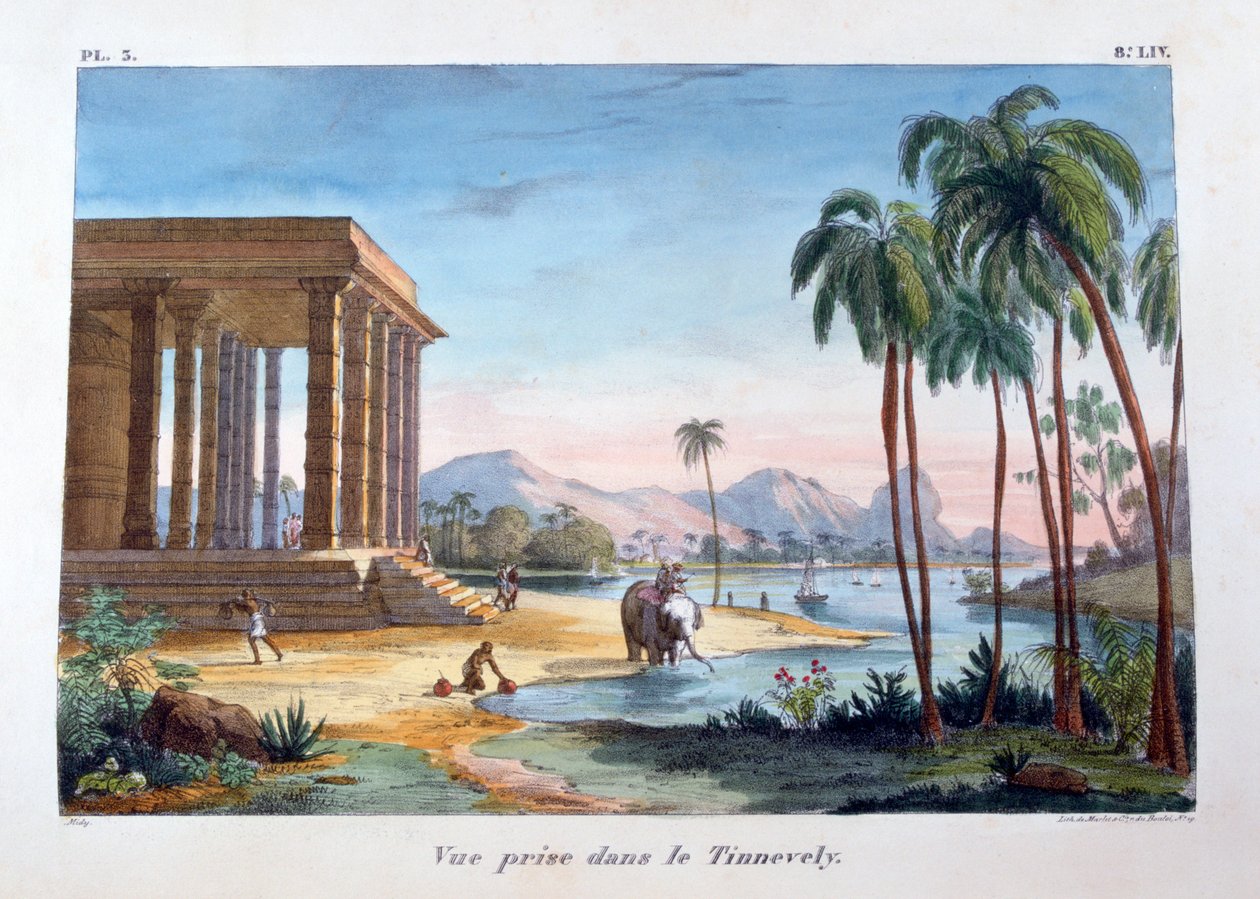 Una vista de Tinnevelly, India, 1828 de Marlet et Cie