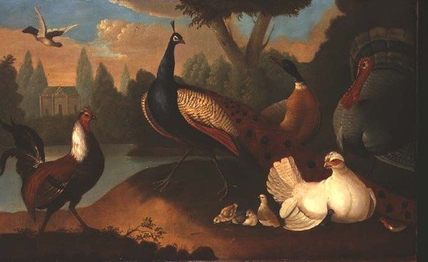 Paisaje con varios pájaros de Marmaduke Craddock