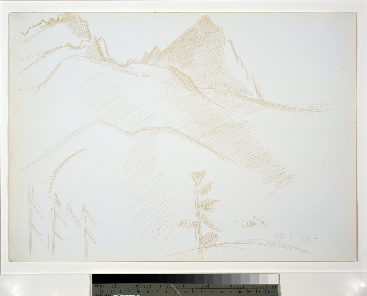 Paisaje montañoso con pinos de Marsden Hartley