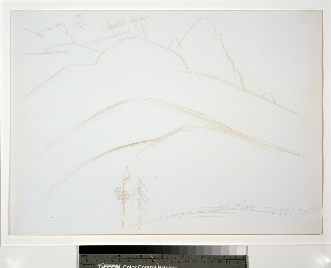 Paisaje de Montaña con Dos Pinos de Marsden Hartley